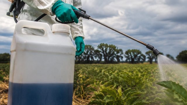 Australia’s Controversial Decision to Retain Paraquat Usage Amid Health Concerns | joker4d slot, rtp