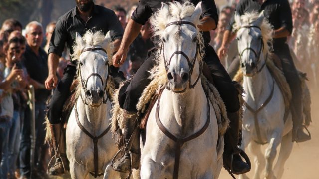 Successful Run of 'The White Horses' Captivates Audiences in Crete