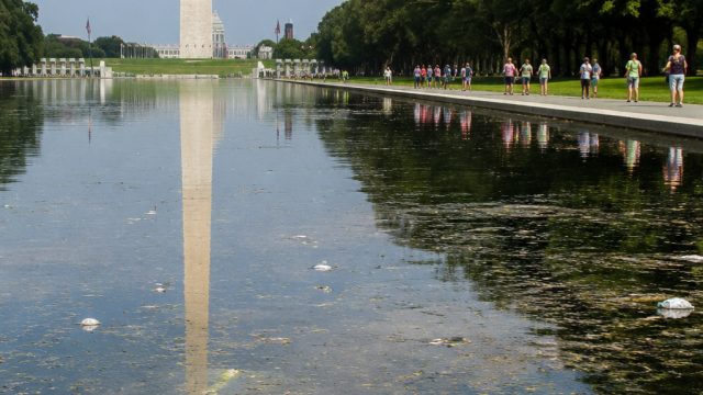 Reflecting Pool Controversy: Vandalism or Mismanagement?