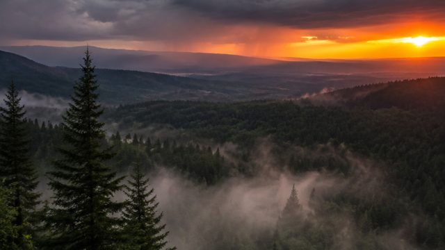 Unprecedented El Niño Conditions Loom Over the Northwest