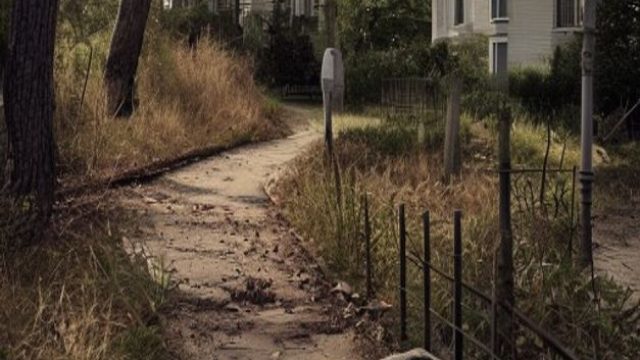 Tragic Discovery: Body Found Near Walking Path in Pennsylvania